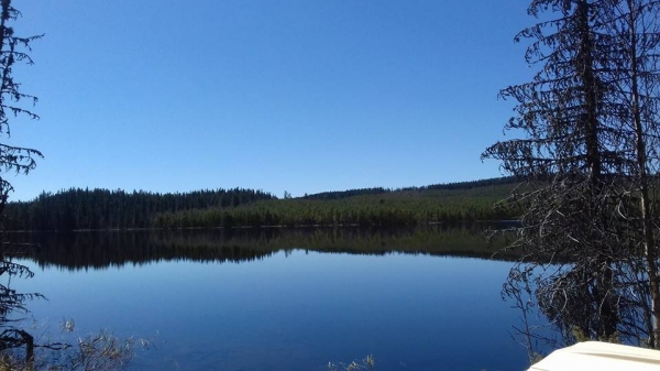 Utsikt i Lilla Knäsjön