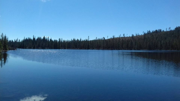 Utsikt i Lilla Knäsjön
